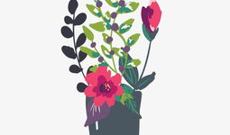 插花漫画,插花漫画中的艺术与生活美学